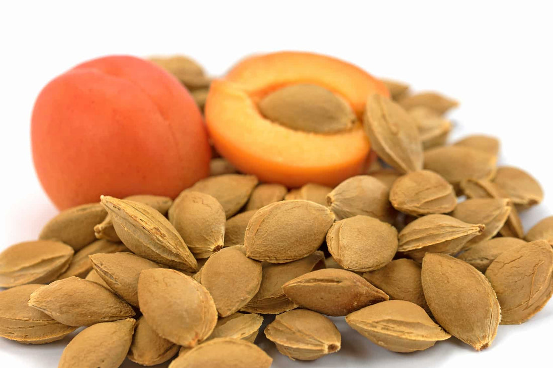 Apricot Kernel Oil